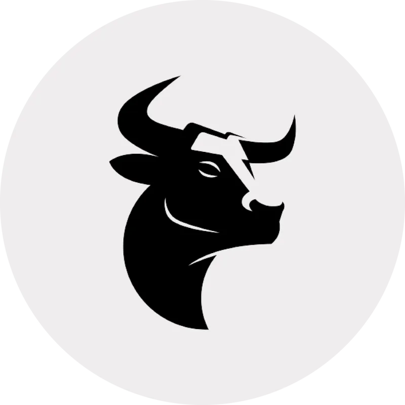 Rodeo – Your Creator Assistant
