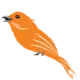 SmartBird