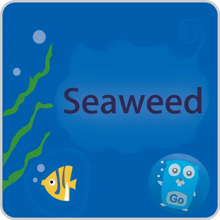 seaweedfs
