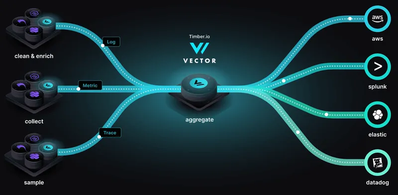 vector