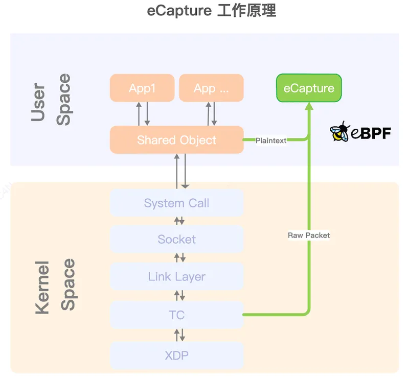 ecapture