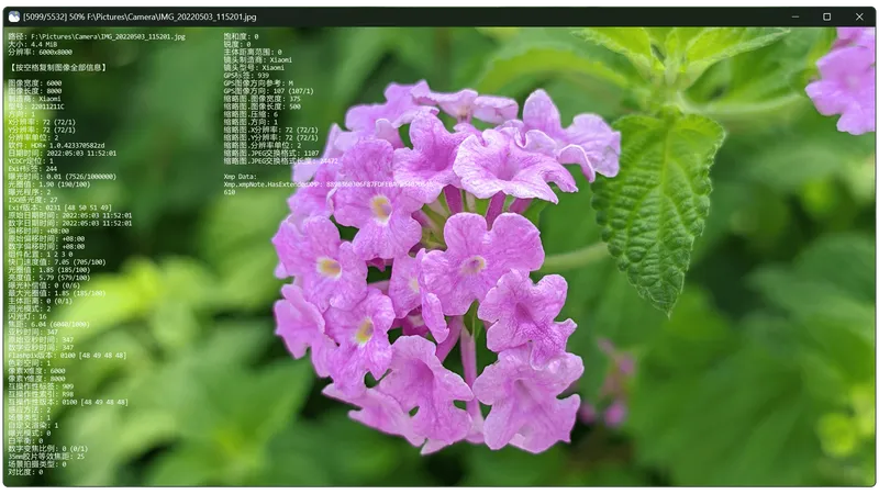 JarkViewer
