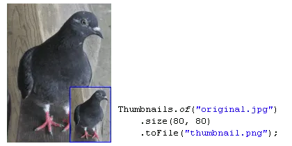 thumbnailator