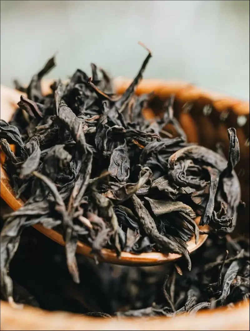 图为喜茶定制的白芽奇兰茶底